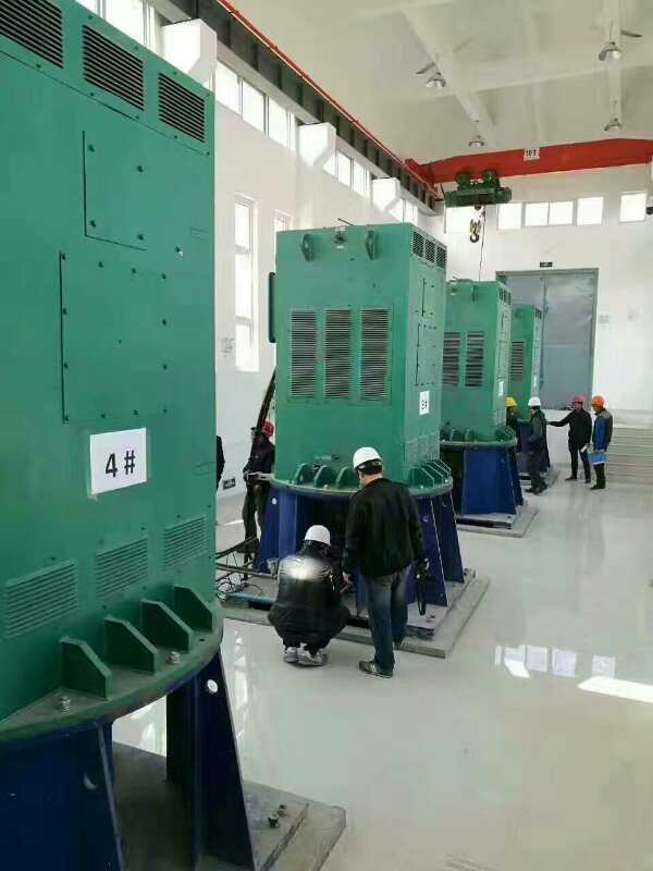沙雅某污水处理厂使用我厂的立式高压电机安装现场生产厂家